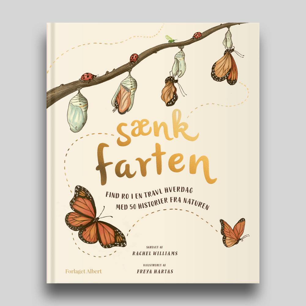 Sænk farten